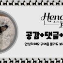 천신지퍼