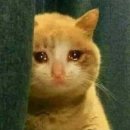 다사랑김밥 | 3월 1주차(킴스/다사랑치킨/뚱이네포차/수영 시작/불금파티/애플망고 사랑단)