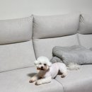 네임드 살롱 이미지