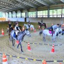 순천승마장 이미지