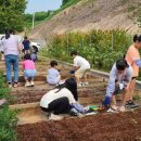 여수농업기술센터 이미지