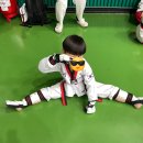 경희대 비앤비 태권도 이미지