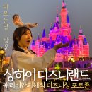 디즈니치킨 | 상하이 디즈니랜드 비오는날 팁 캐리비안의해적 디즈니성 포토존 후기