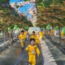 코코농원 이미지