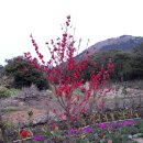 철없는펜션 이미지