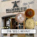 맘모스 | 안동 빵집 맘모스 베이커리 내돈내산 후기