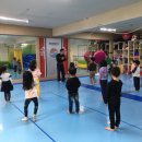 라이온 합기도 이미지