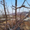 관호농장 이미지