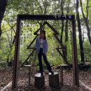 산록남로 | [국내 여행] 제주 서귀포 치유의 숲 - 예약 및 주차, 해설탐방 후기(잣담길 걸으멍)🌲