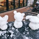 투썸플레이스예산수덕사점 이미지