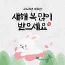 도담네일 네이버블로그