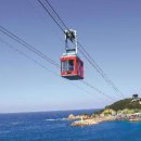 베스트(236) 이미지