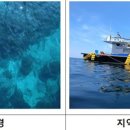 볼레낭개