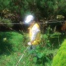 평화양로원 이미지