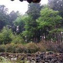 백수탕