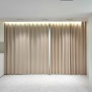 금산느티나무 이미지