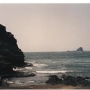 사계바당 이미지