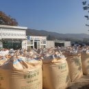 농협양곡창고 앞 이미지