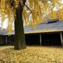 감치농장 이미지