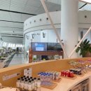 주식회사 봉황기획 | ✈️ 북경 다싱공항 남방항공 라운지 이용 후기