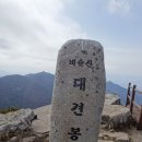 4/14[일]대구 비슬산+참꽃+대견사(명산100)-산행안내/좌석표 이미지