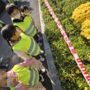 10월 31일 해바라기 (대구 수목원🌻🌼)놀이이야기 이미지