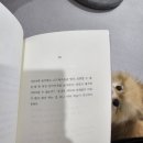 (주)퍼니스톤 | 2024년 2월 사진일기