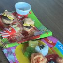 보리토리 이미지