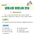 나비약국 - 화순군 칠충로 45 | 나비약국