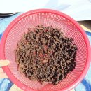 군산서비스기아오토큐 네이버블로그