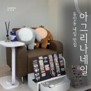 아그리나네일 - 10667 | 아그리나네일