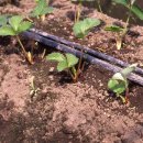 (주)새농 이미지