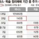 한탕 노린 개미에 정리매매 주가 ‘롤러코스터’ 이미지