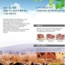 26년 올레도새기가 왔어요~ 이미지