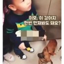뚱형