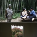 김정호 ‘하얀나비’ -노래가 있는 풍경- 창백하고 처절하게 가을이 묻어나는 노래
