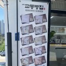 [삼척] 데니쉬브래드 맛집 식빵이 맛있는 삼척교동빵집