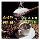커피생활 - 서구 | 커피생활
