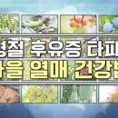 명절 후유증 타파! 가을 열매 건강법 이미지