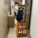 씨유 여수대박사랑점 | 월간 블로그 오래망가