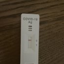 농소운동장 | 울산 농소운동장선별진료소 코로나 pcr검사 후기