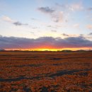 안식목장 이미지