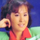 나무와새 이미지