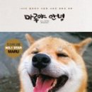 마루야 - 용인시 수지구 | 마루야