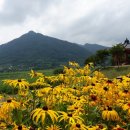 섬진강한의원 이미지