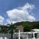 리포레풀글램핑 | 가평 프라이빗 수영장이 있는 감성 글램핑 “리포레풀램핑” 내돈내산 후기