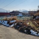 경기도 안성시 일죽면사무소 이미지