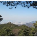 영가화원