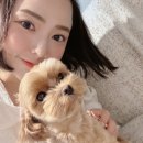 네일옐루