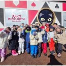 경희유아태권도 이미지